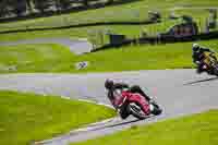 cadwell-no-limits-trackday;cadwell-park;cadwell-park-photographs;cadwell-trackday-photographs;enduro-digital-images;event-digital-images;eventdigitalimages;no-limits-trackdays;peter-wileman-photography;racing-digital-images;trackday-digital-images;trackday-photos